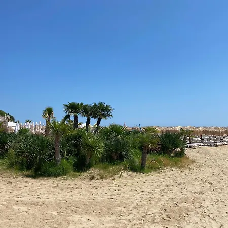 Horizon 13 'a' סבטי ולאס