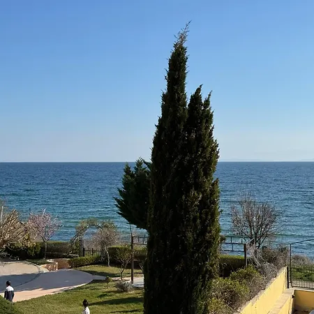 Horizon 13 'a' * סבטי ולאס